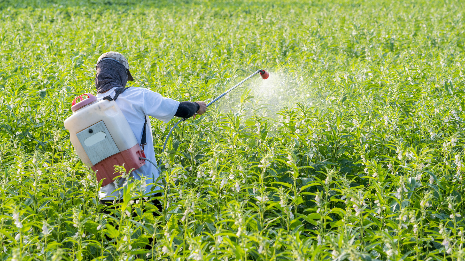 ระบบ POS สำหรับร้านปุ๋ย ยา เคมีเกษตร